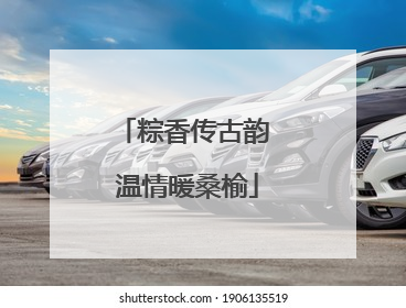 粽香传古韵 温情暖桑榆